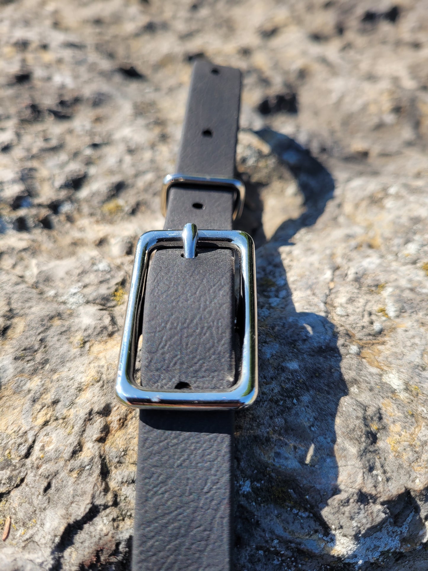 BioThane Straight Curb Strap