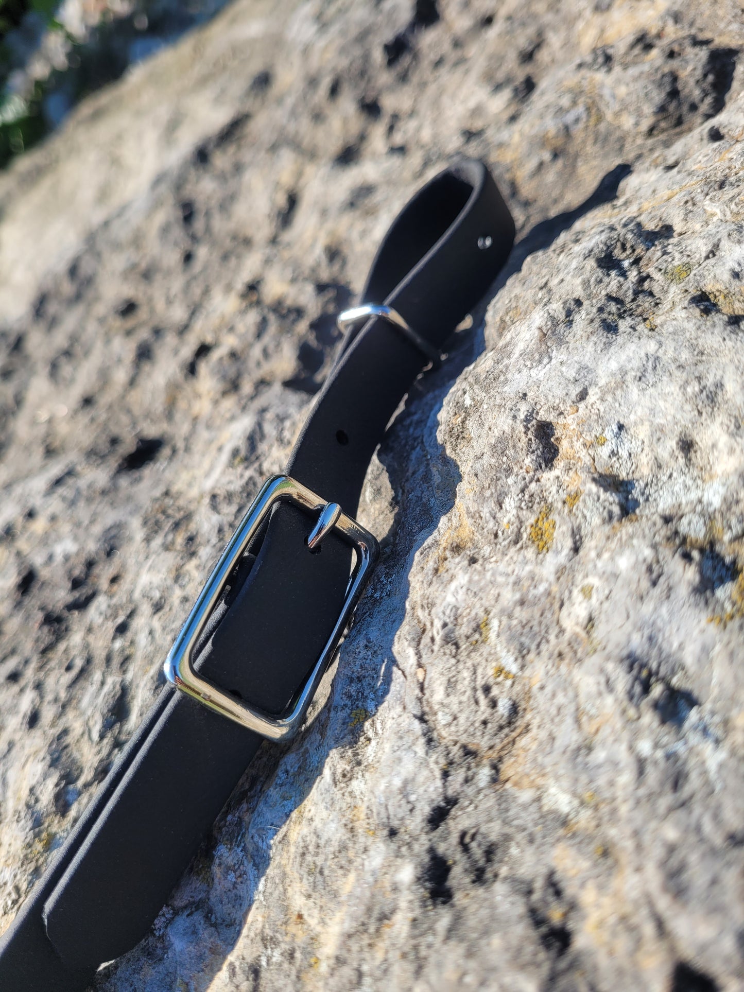 BioThane Straight Curb Strap