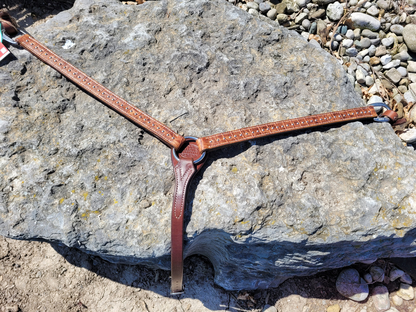 Martin Breastcollar Exotic with Dots