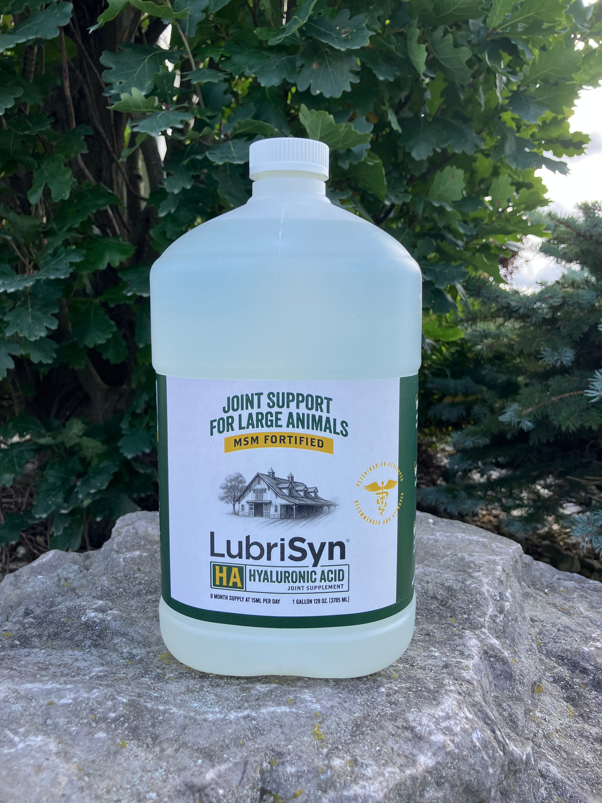 LubriSyn HA | HA +PLUS