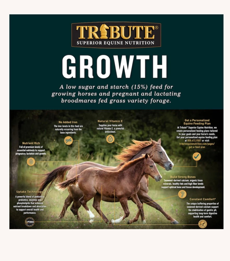 Tribute Growth (available for Pick Up only)
