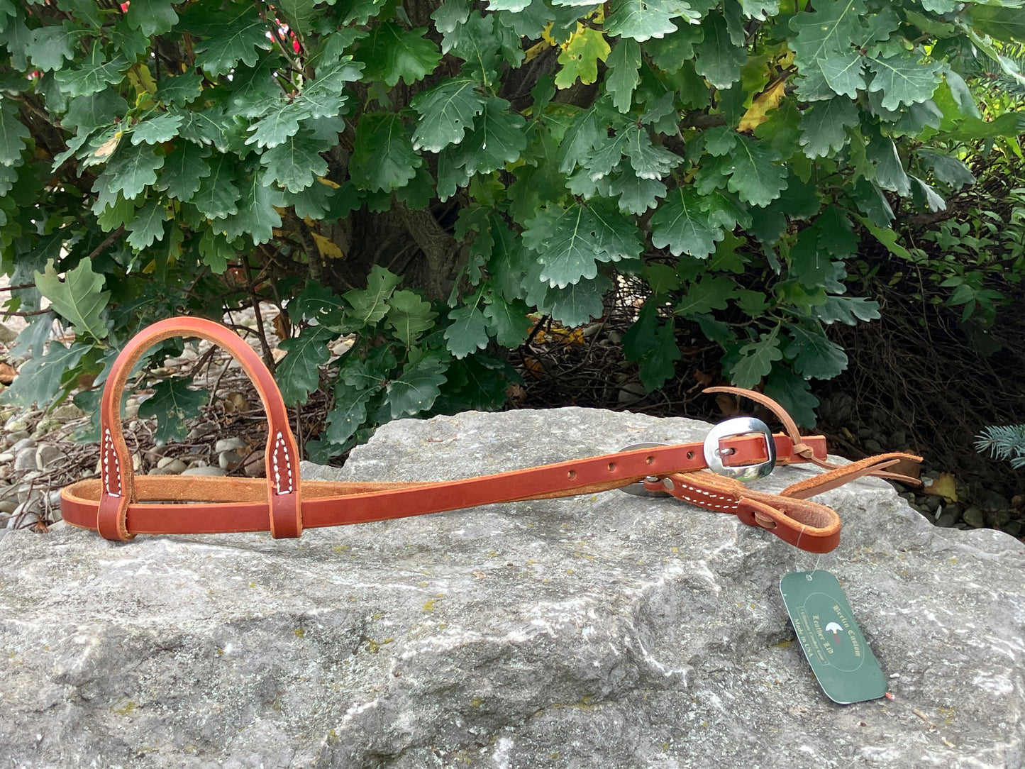 Slip ear headstall with stainless steel buckles