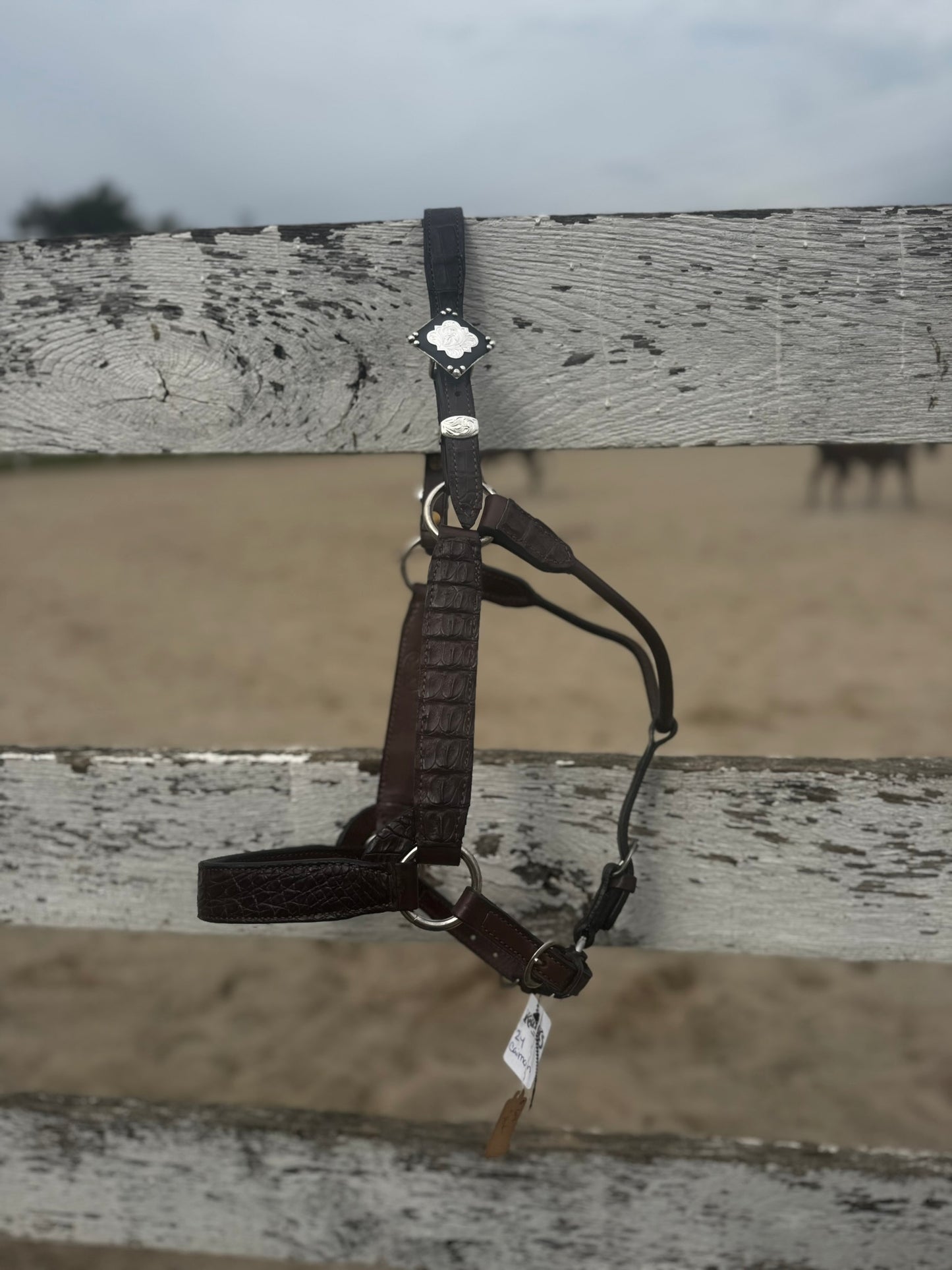 Ranch Show Halters