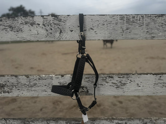 Ranch Show Halters