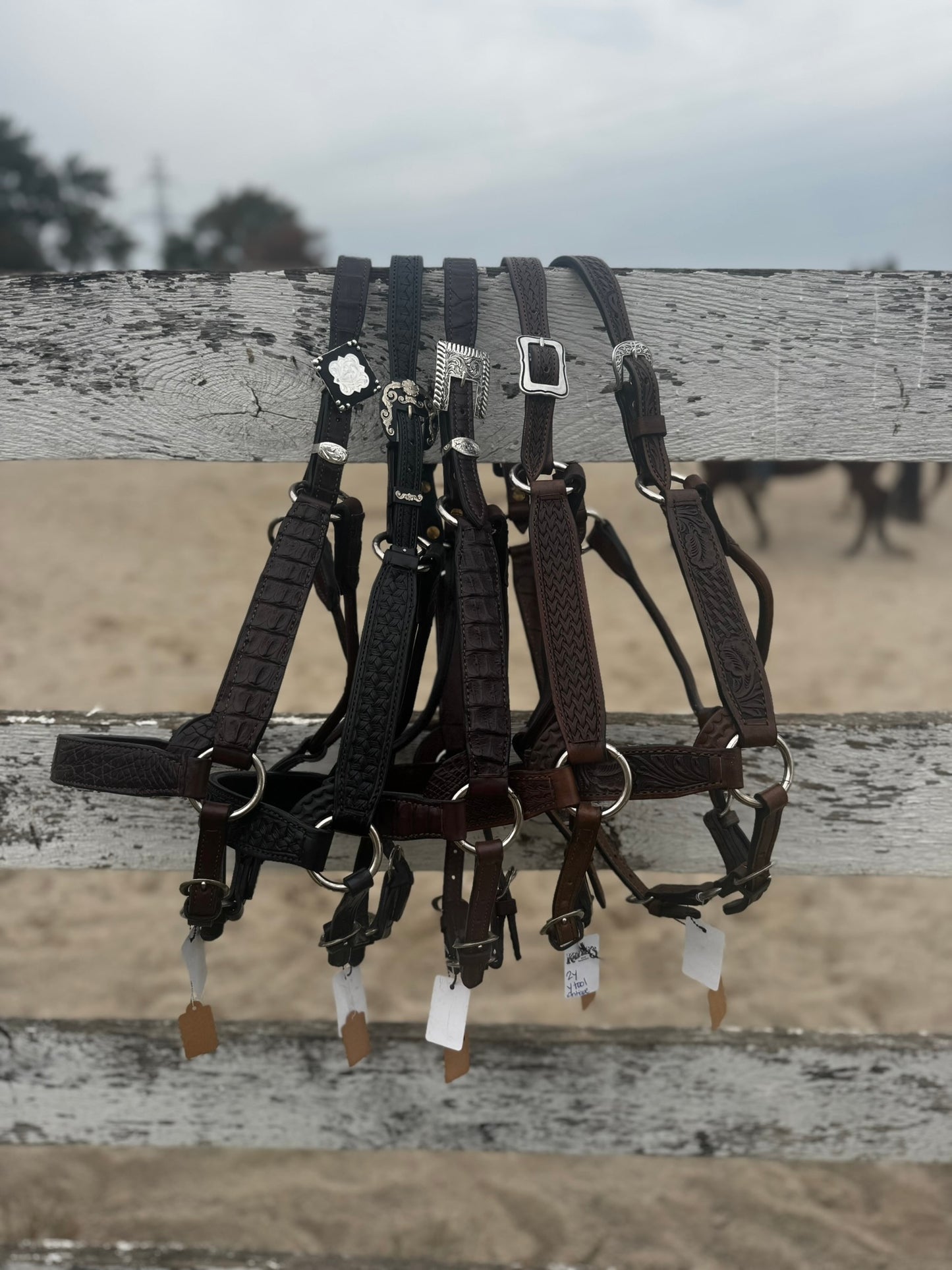 Ranch Show Halters