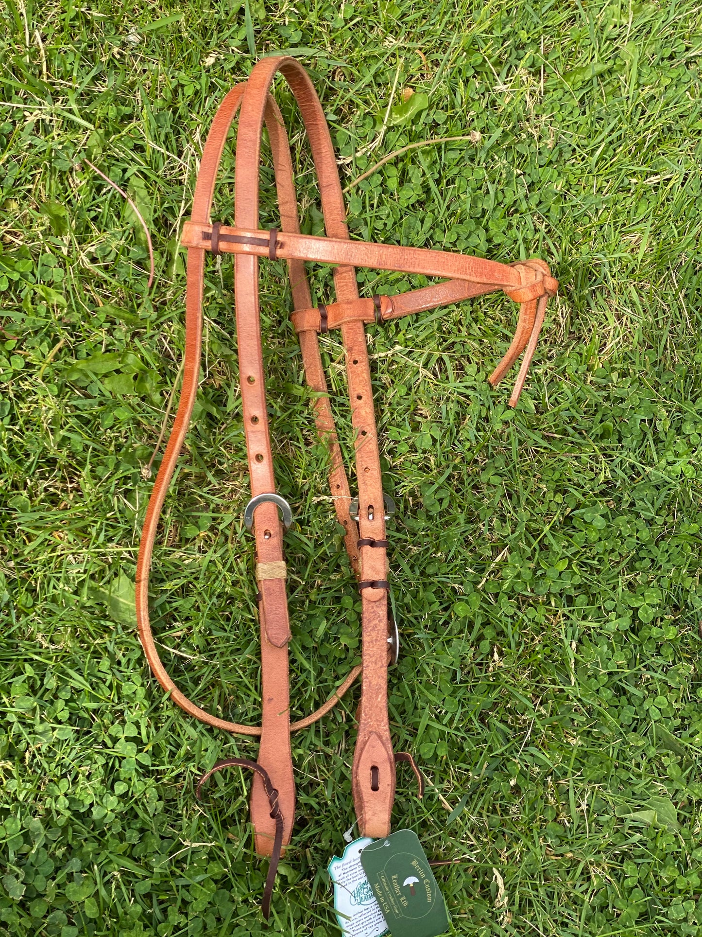 Knotted Brow with Rawhide Keeper and Stainless Buckle
