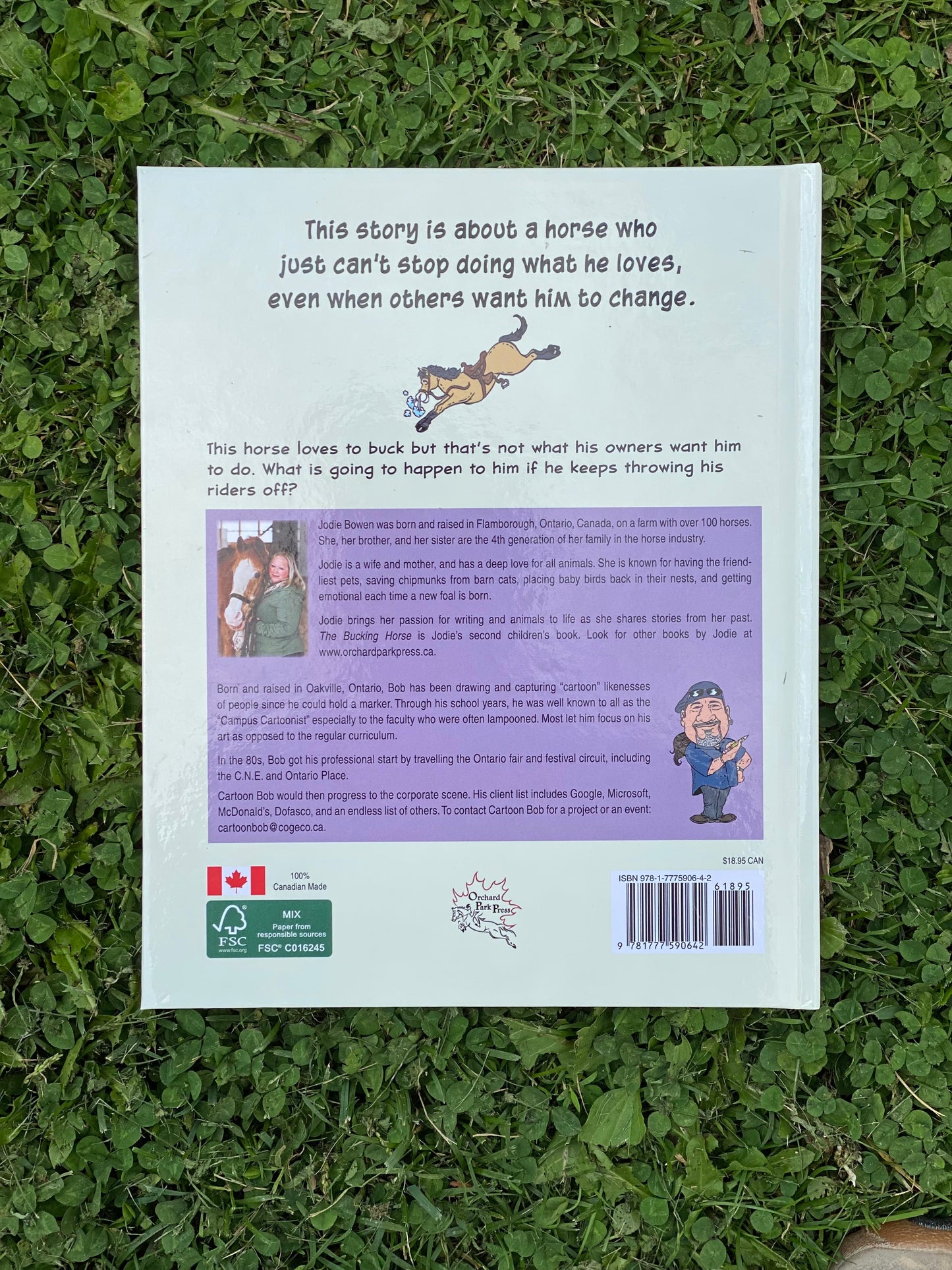 The Bucking Horse by Jodie Bowen