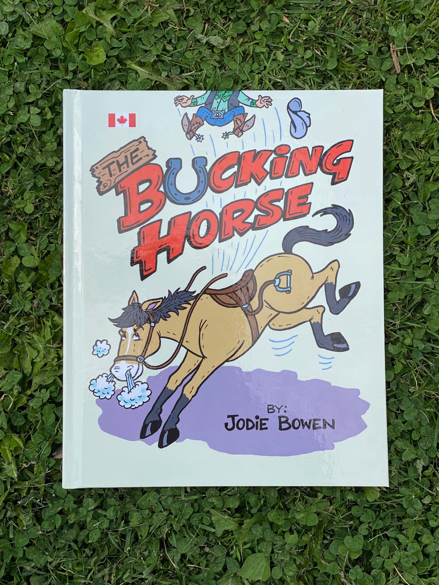 The Bucking Horse by Jodie Bowen