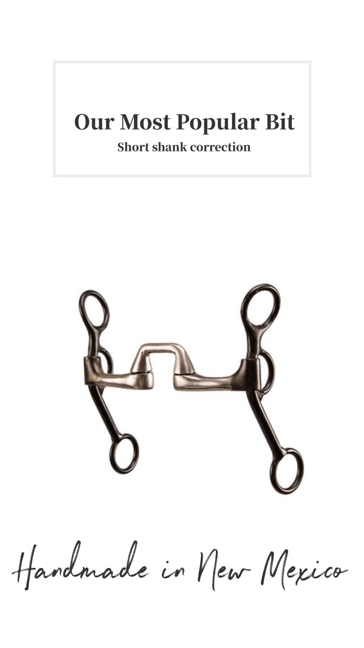 Short Shank 1x1 Correction Bit