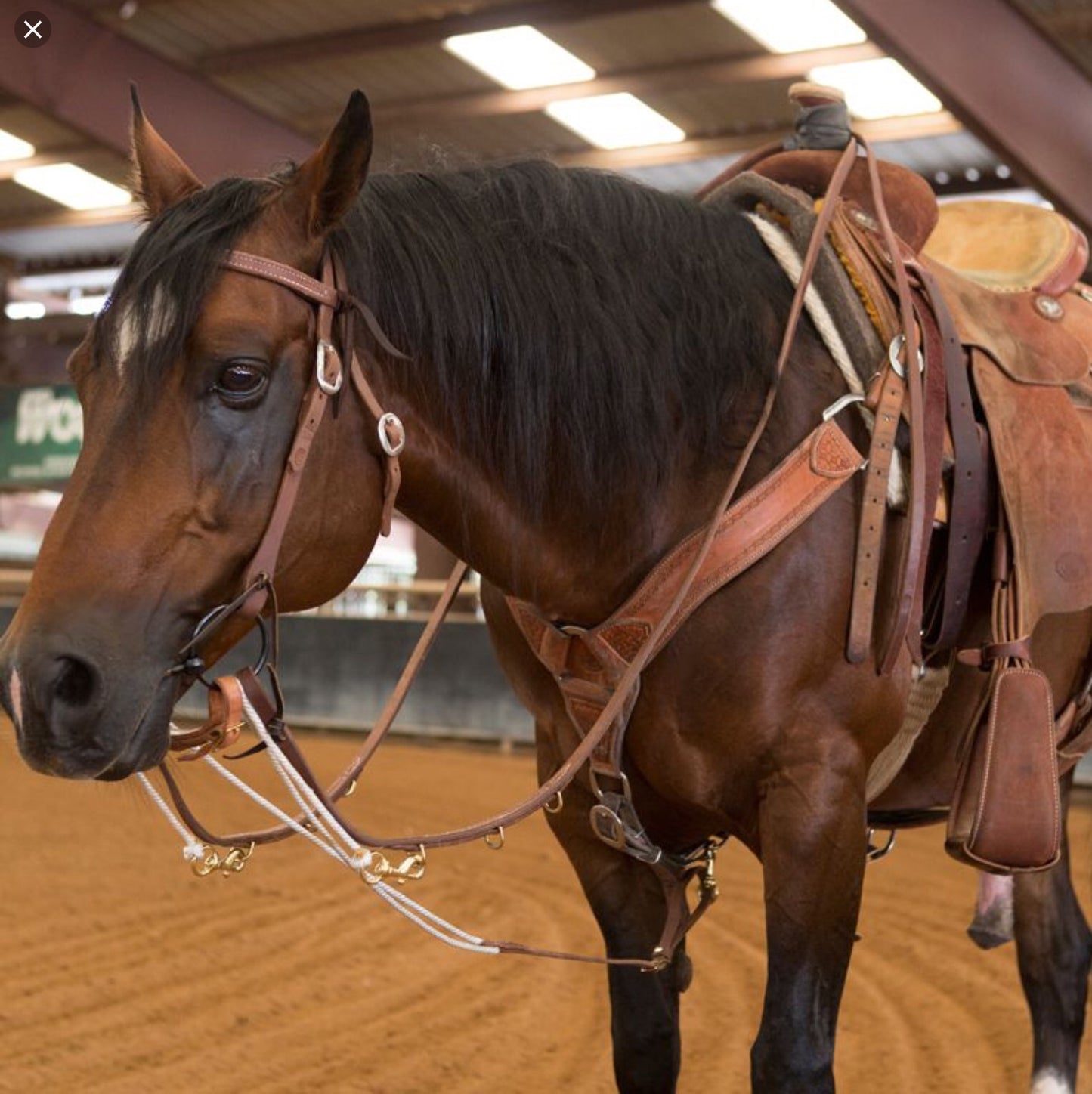 German Martingale