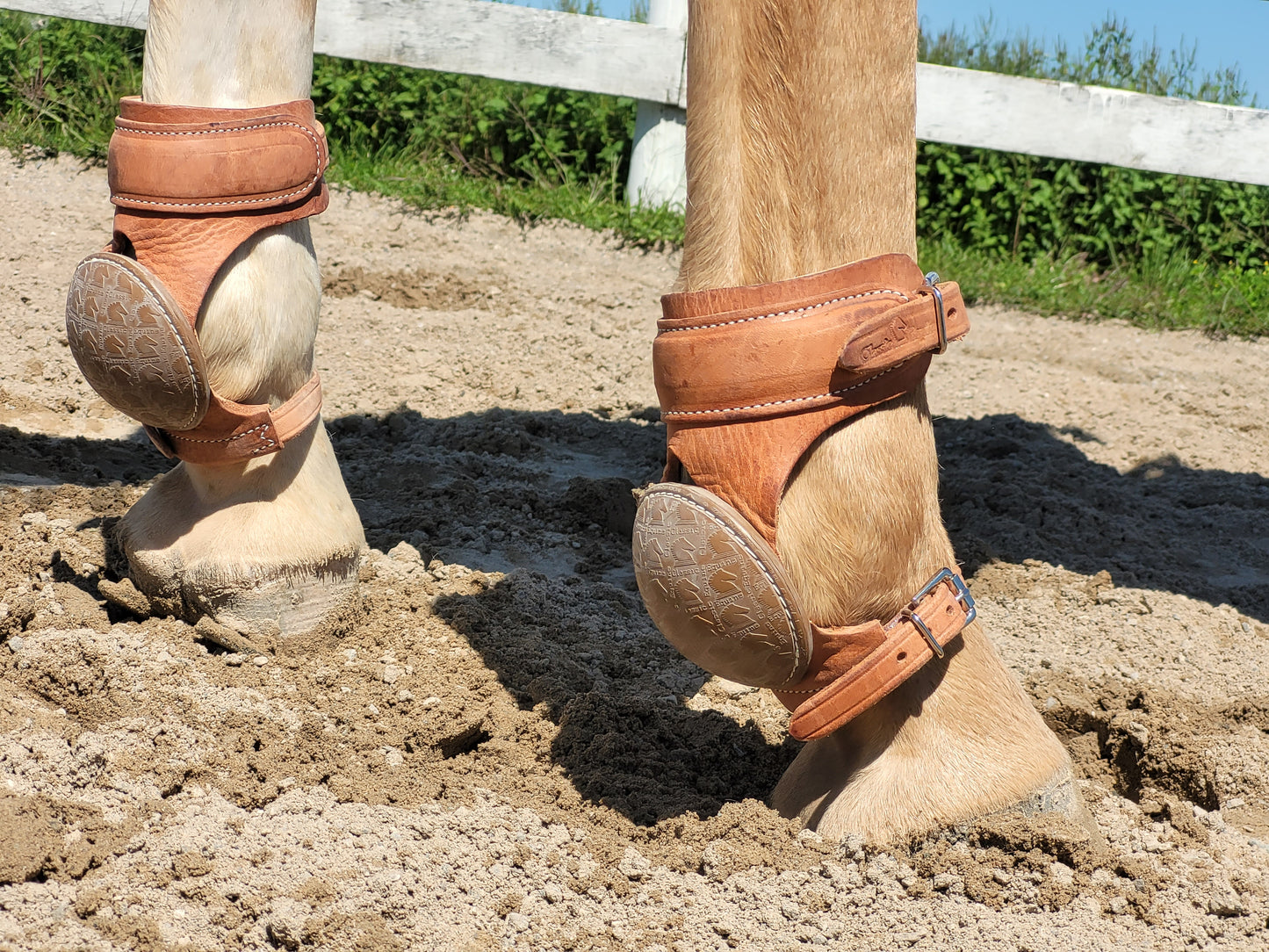 Classic Equine Performance Skid Boots