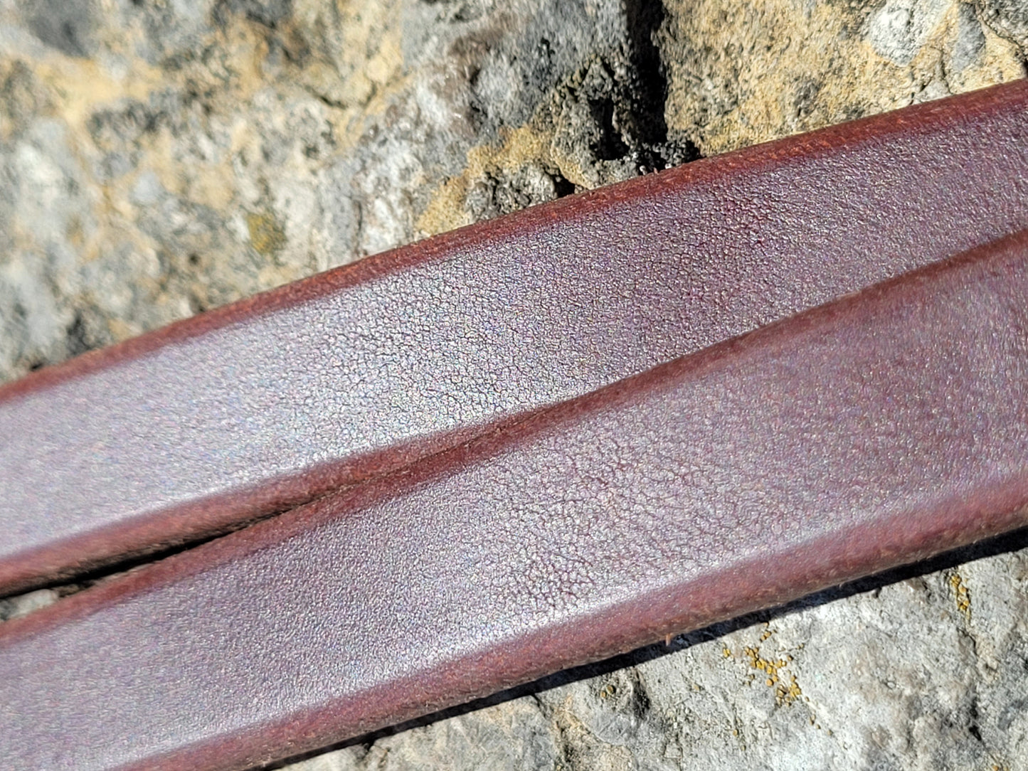 Reins