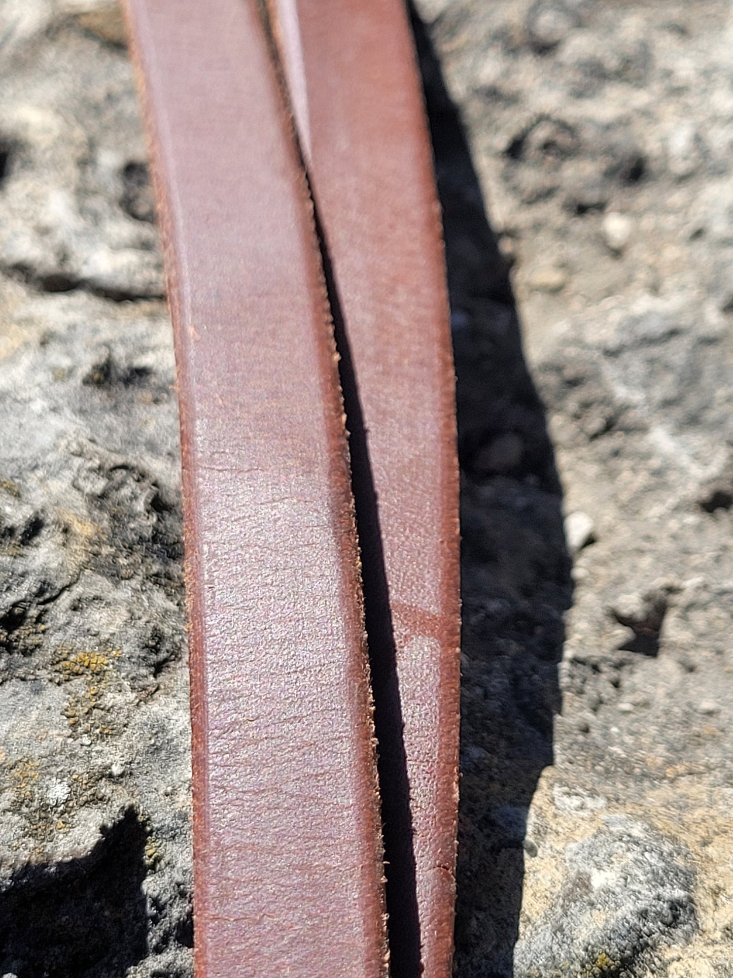 Reins