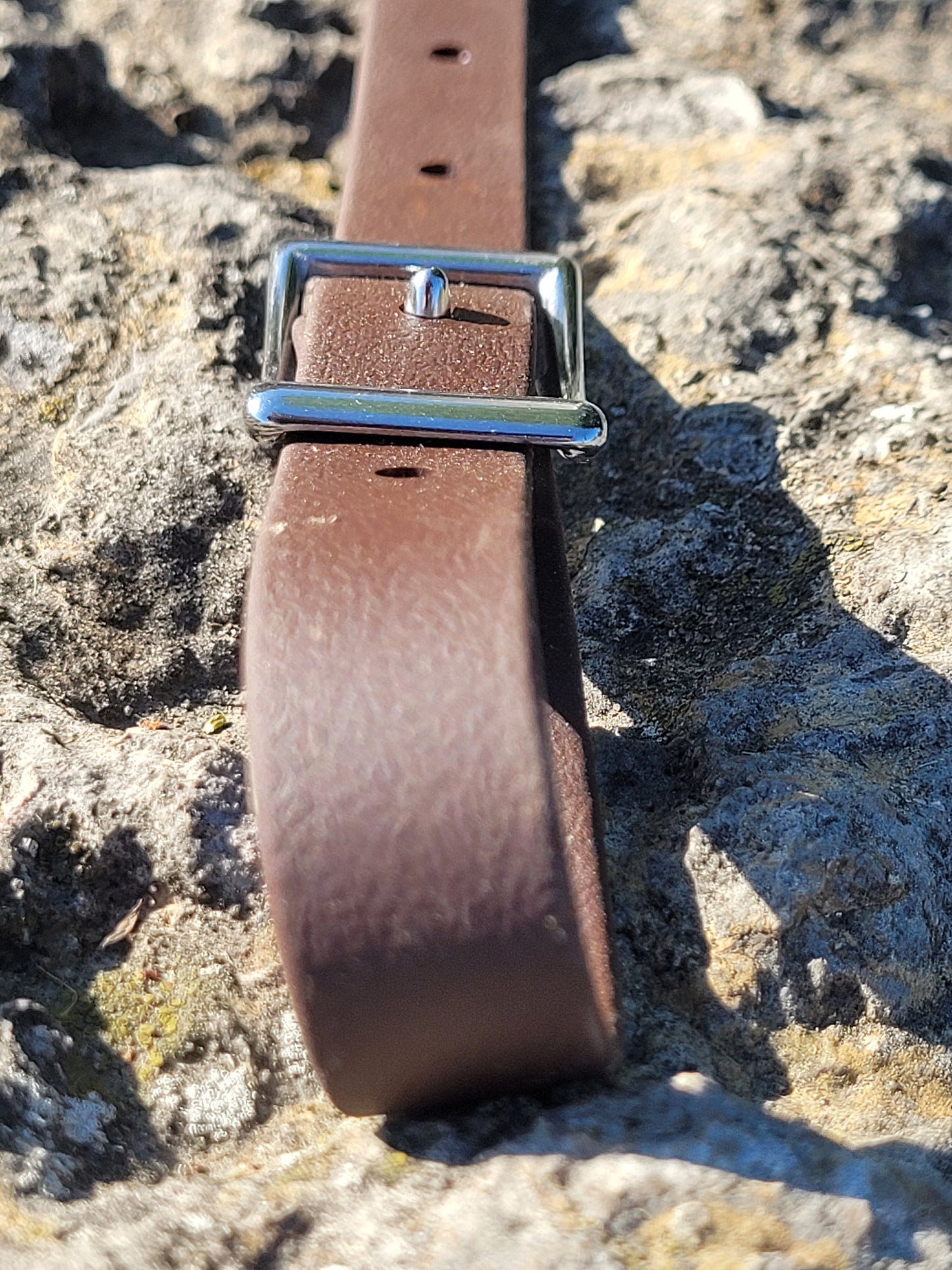 BioThane Cinch Connector Strap