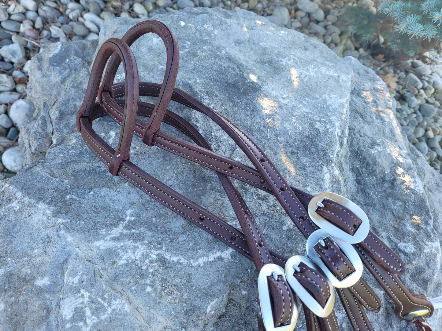 Heavy Oiled, Rolled Ear Headstall with Stainless Concho