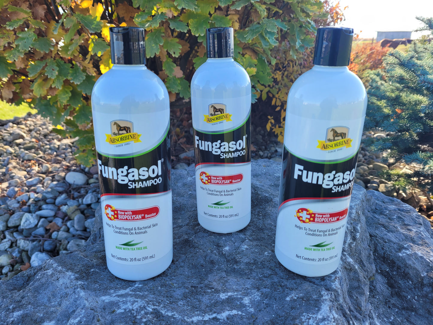 Fungasol Shampoo