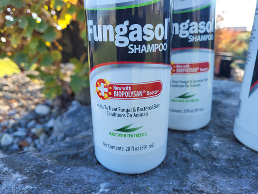 Fungasol Shampoo