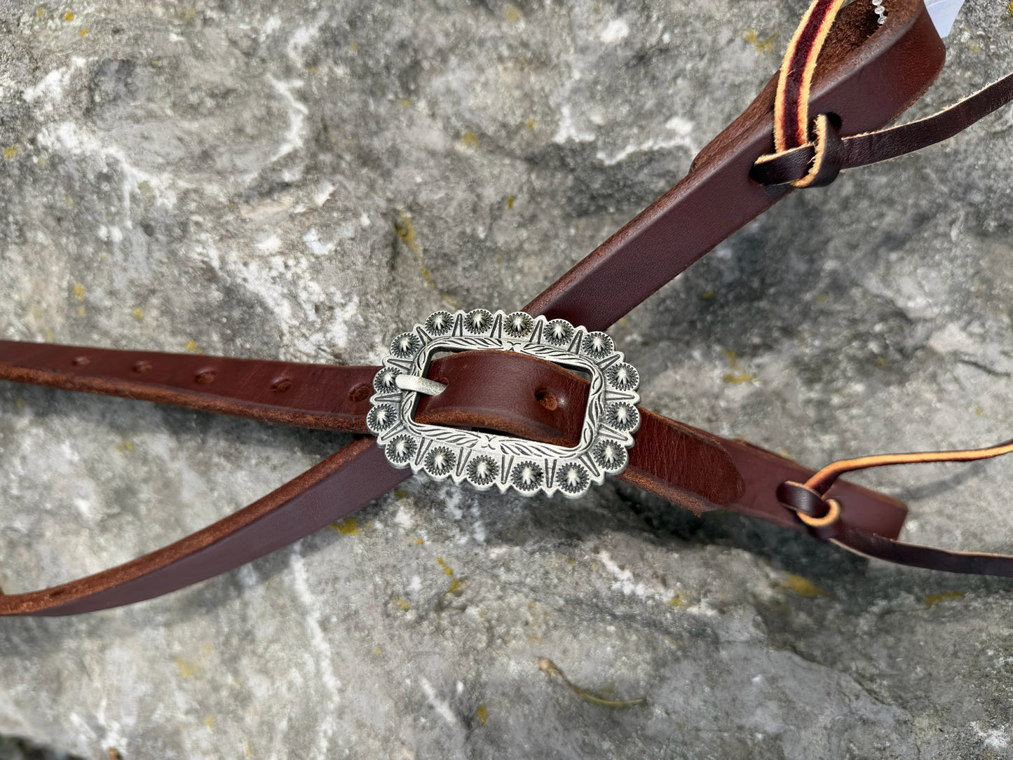 Slip Ear Headstall - Antiqued Silver Rosette Buckle