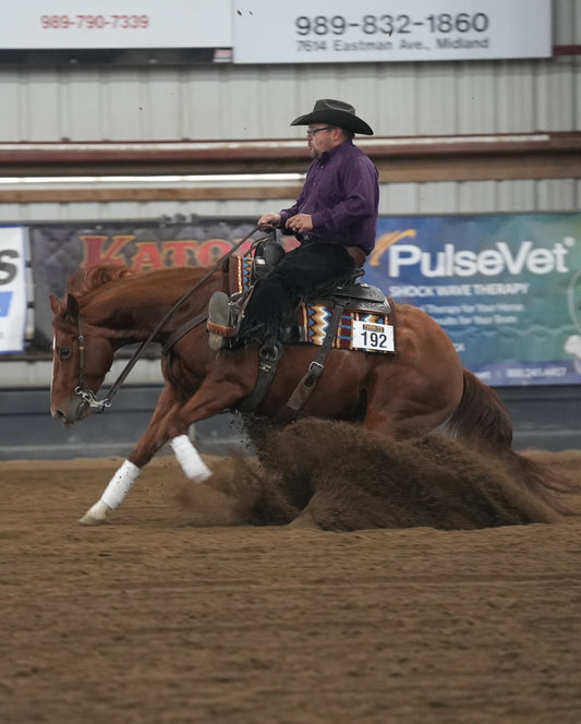 2 Day Reining Clinic with Lindsay and Jess Cofell