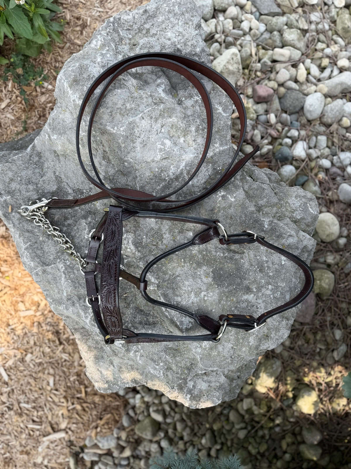 Ranch Show Halters
