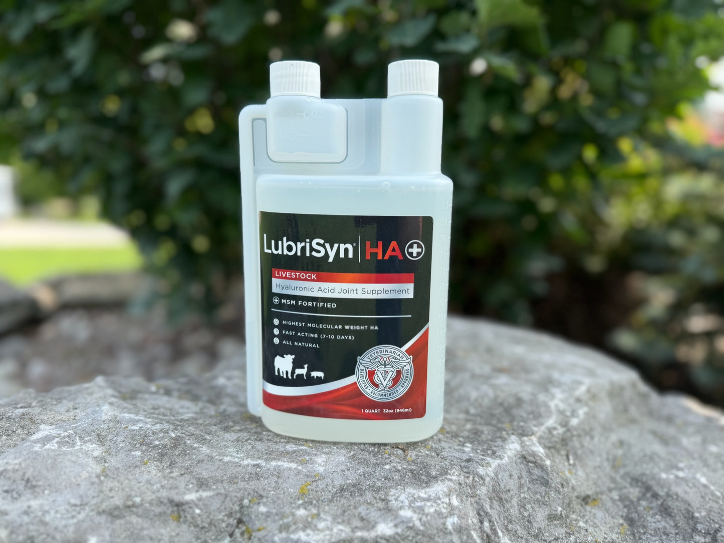 LubriSyn HA | HA +PLUS