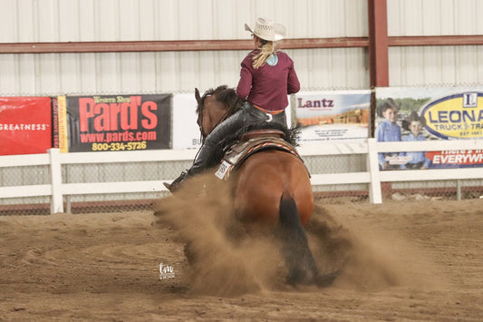 Reining Practice March 6
