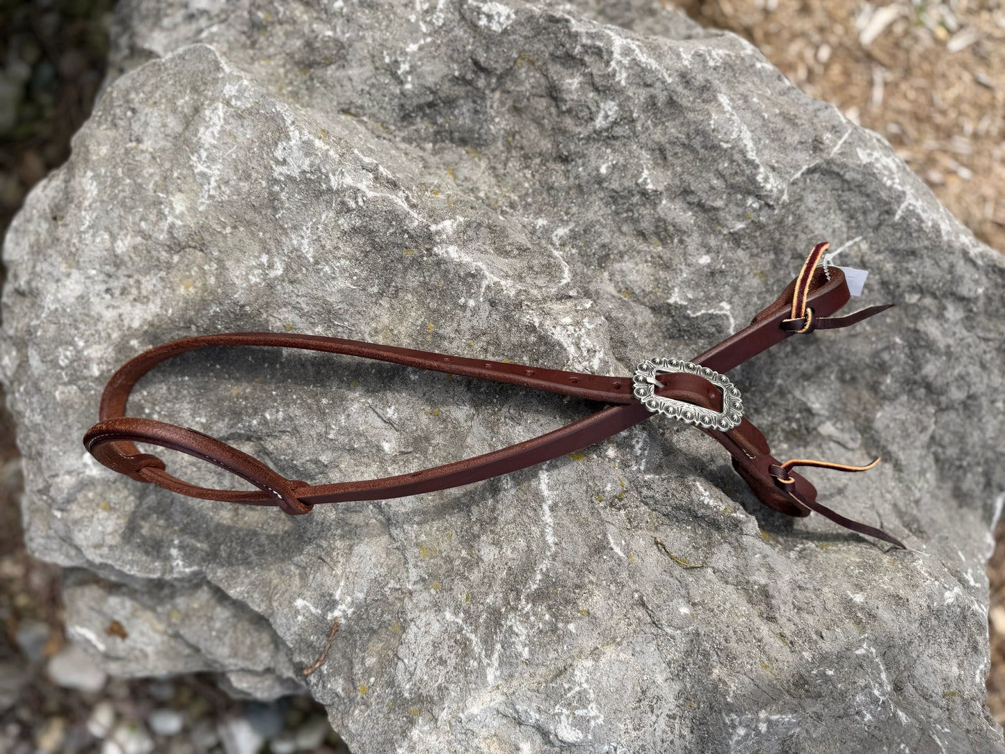 Slip Ear Headstall - Antiqued Silver Rosette Buckle