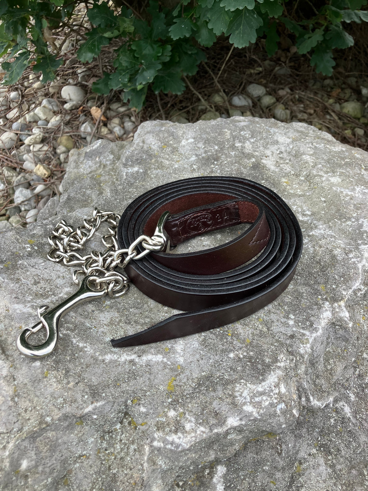 Leather lead shank