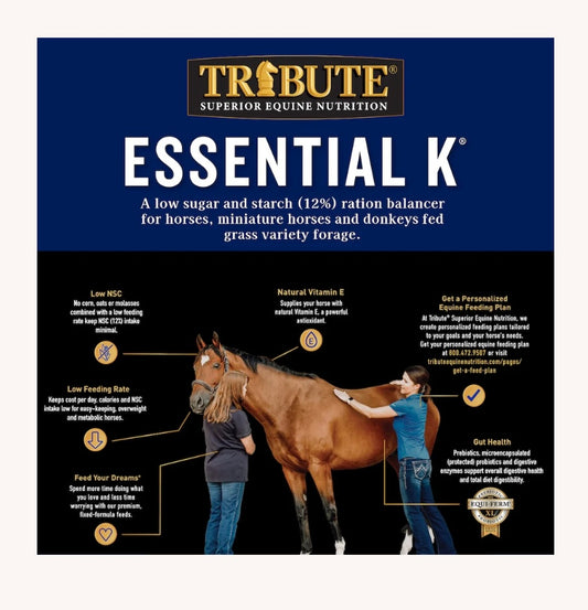Tribute Essential K