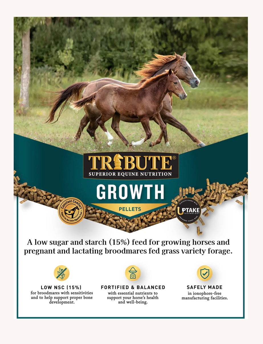 Tribute Growth (available for Pick Up only)