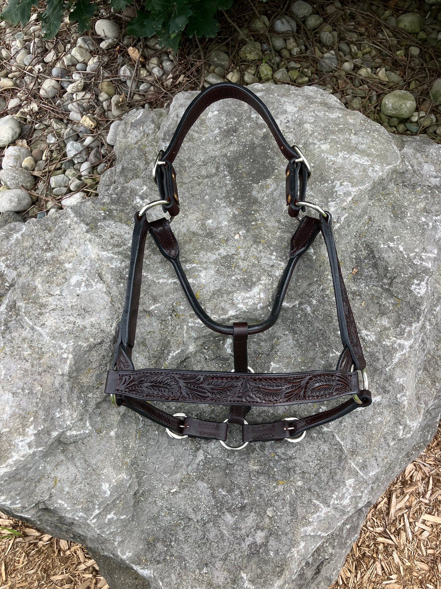 Ranch Show Halters
