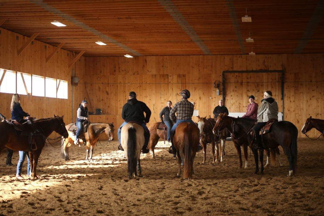 Equitation Reset March 16
