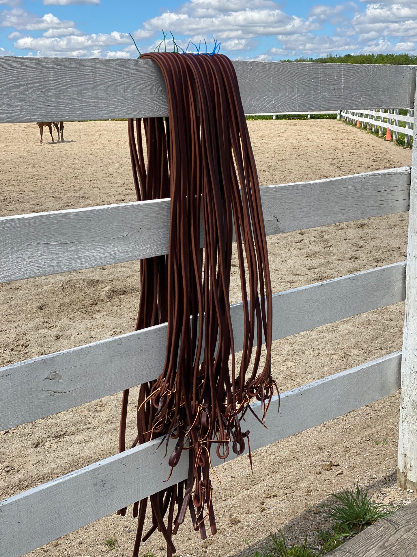 Reins