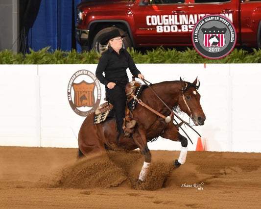 Reining Clinic April 1/2 - Audit