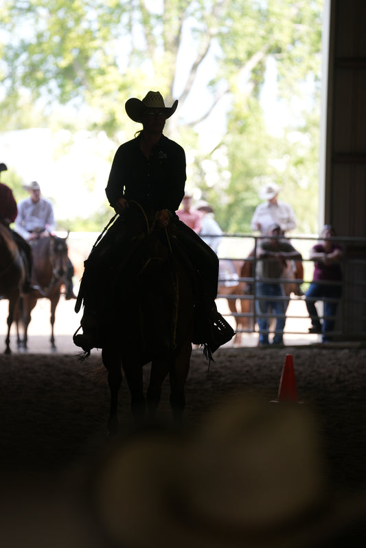 Ranch Riding Clinic -Audit
