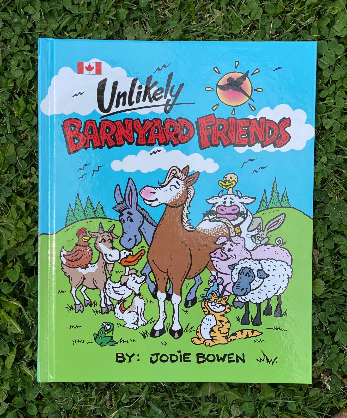 Unlikely Barnyard Friends by Jodie Bowen