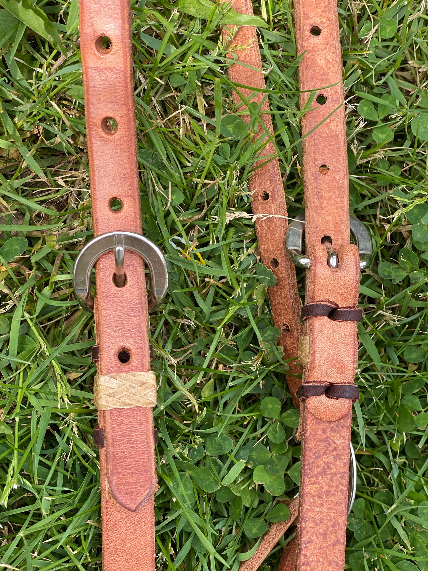 Knotted Brow with Rawhide Keeper and Stainless Buckle