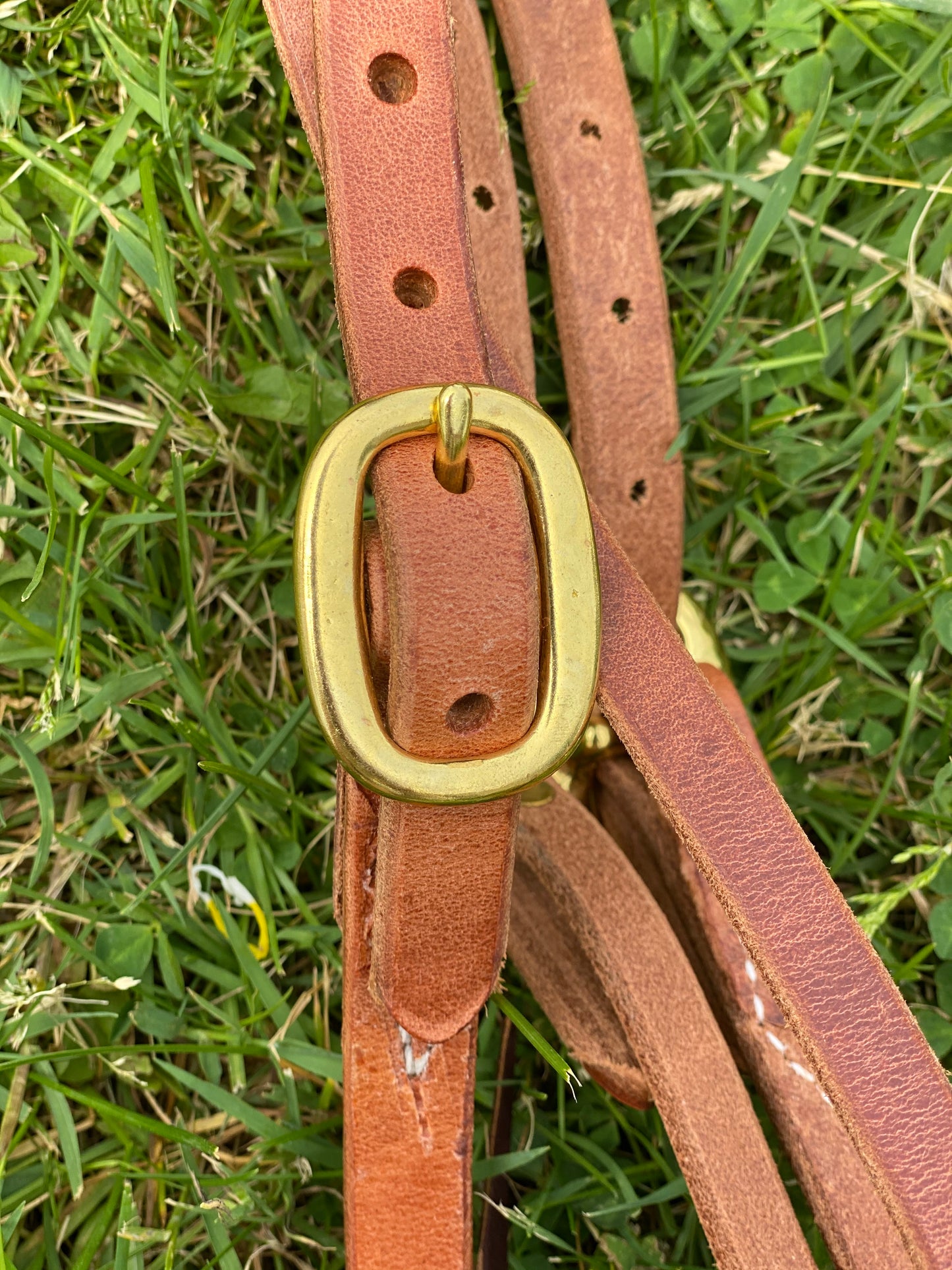 Knotted Browband with Brass Buckle