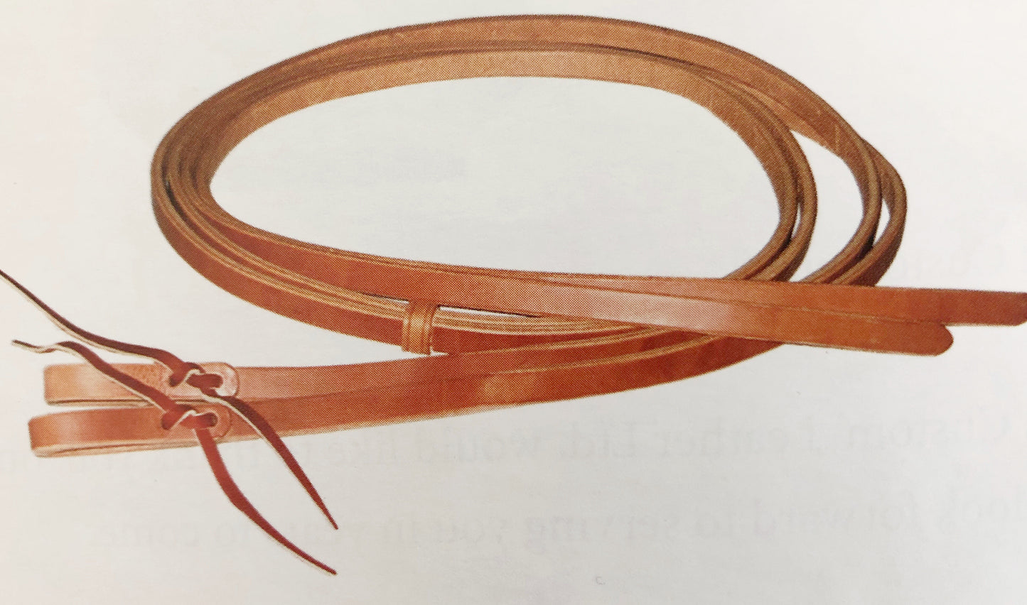 Reins