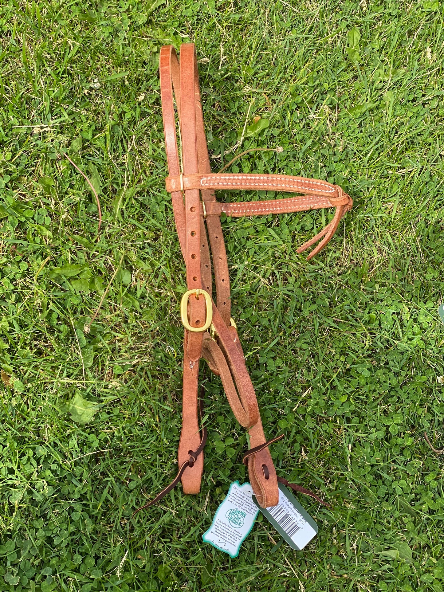 Knotted Browband with Brass Buckle