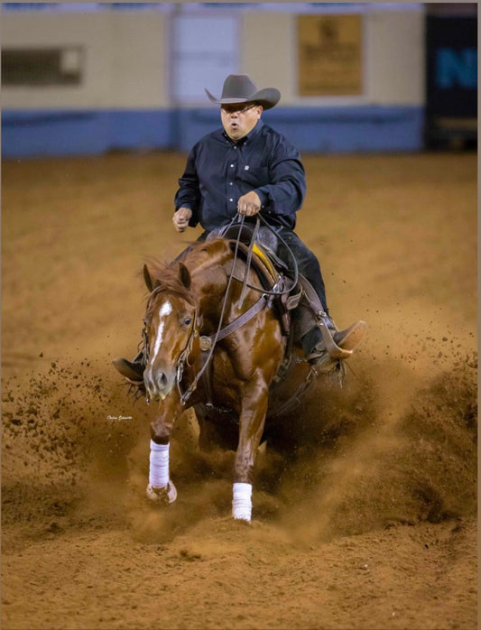 2 Day Reining Clinic with Lindsay and Jess Cofell - FULL